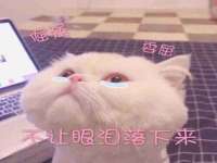 沭阳县阳之耀电子商务有限公司