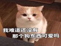 沭阳县阳之耀电子商务有限公司