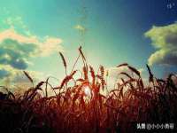 沭阳县阳之耀电子商务有限公司