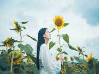 沭阳县阳之耀电子商务有限公司