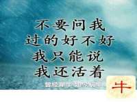 沭阳县阳之耀电子商务有限公司