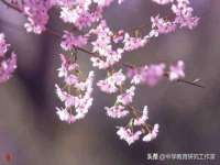 沭阳县阳之耀电子商务有限公司