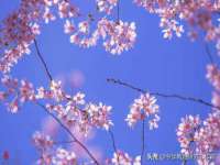 沭阳县阳之耀电子商务有限公司