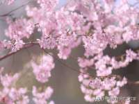 沭阳县阳之耀电子商务有限公司