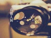 沭阳县阳之耀电子商务有限公司
