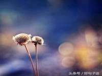 沭阳县阳之耀电子商务有限公司