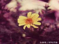 沭阳县阳之耀电子商务有限公司