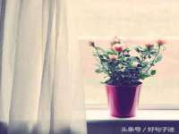 沭阳县阳之耀电子商务有限公司