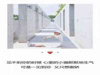 沭阳县阳之耀电子商务有限公司