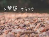 沭阳县阳之耀电子商务有限公司