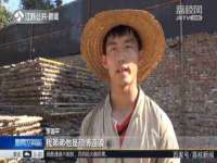沭阳县阳之耀电子商务有限公司
