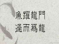 沭阳县阳之耀电子商务有限公司