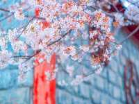 沭阳县阳之耀电子商务有限公司