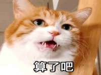 沭阳县阳之耀电子商务有限公司