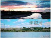 沭阳县阳之耀电子商务有限公司