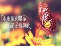 沭阳县阳之耀电子商务有限公司