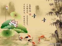 沭阳县阳之耀电子商务有限公司
