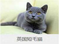 沭阳县阳之耀电子商务有限公司