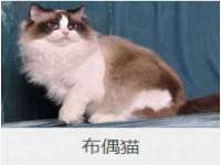 沭阳县阳之耀电子商务有限公司