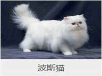沭阳县阳之耀电子商务有限公司