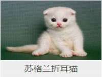 沭阳县阳之耀电子商务有限公司