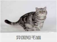 沭阳县阳之耀电子商务有限公司