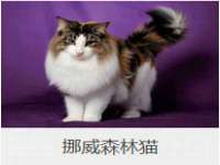 沭阳县阳之耀电子商务有限公司