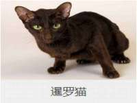 沭阳县阳之耀电子商务有限公司