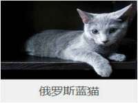 沭阳县阳之耀电子商务有限公司