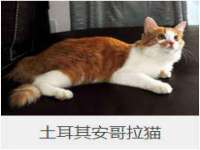 沭阳县阳之耀电子商务有限公司