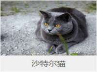 沭阳县阳之耀电子商务有限公司