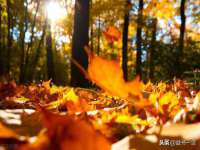 沭阳县阳之耀电子商务有限公司
