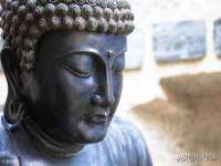 沭阳县阳之耀电子商务有限公司