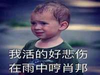 沭阳县阳之耀电子商务有限公司
