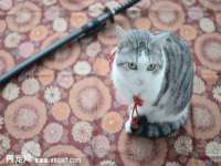 沭阳县阳之耀电子商务有限公司
