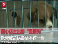 沭阳县阳之耀电子商务有限公司