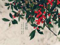 沭阳县阳之耀电子商务有限公司
