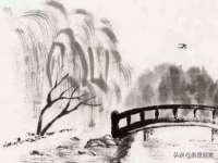 沭阳县阳之耀电子商务有限公司