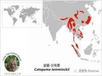 沭阳县阳之耀电子商务有限公司