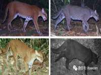 沭阳县阳之耀电子商务有限公司