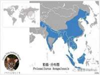 沭阳县阳之耀电子商务有限公司