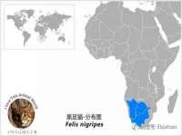 沭阳县阳之耀电子商务有限公司