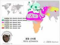 沭阳县阳之耀电子商务有限公司