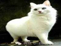 沭阳县阳之耀电子商务有限公司