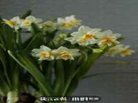 沭阳县阳之耀电子商务有限公司