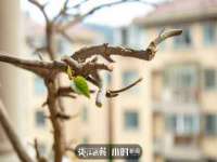 沭阳县阳之耀电子商务有限公司