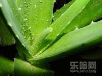 沭阳县阳之耀电子商务有限公司