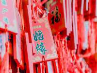 沭阳县阳之耀电子商务有限公司