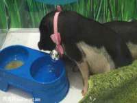 沭阳县阳之耀电子商务有限公司