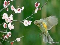 沭阳县阳之耀电子商务有限公司
